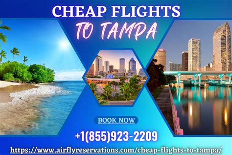 The cheapest return flight ticket from Raleigh to Tampa found by KAYAK users in the last 72 hours was for $45 on Frontier, followed by Breeze Airways ($95). One-way flight deals have also been found from as low as $29 on Frontier and from $46 on Breeze Airways. 